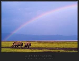 大辛巴威國家紀念地