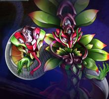 戰鬥王之颶風戰魂Ⅱ