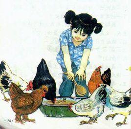 今天我餵雞 今天我餵雞