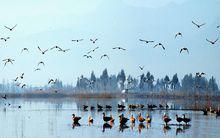 草海[貴州省威寧縣草海]