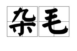雜毛 雜毛