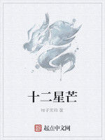 十二星芒 十二星芒