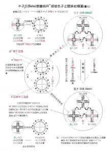 中子衰變 中子衰變