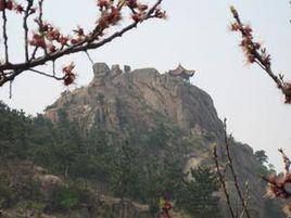 棉花社區 棉花社區