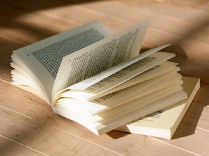 《山楂樹之戀》[小說]