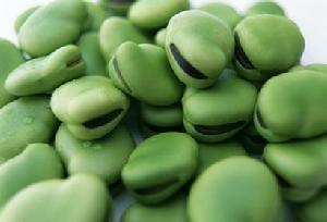 蠶豆莢殼[蠶豆莢殼]