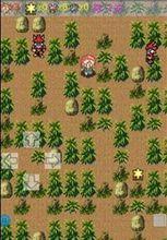 小紅帽歷險記[遊戲]