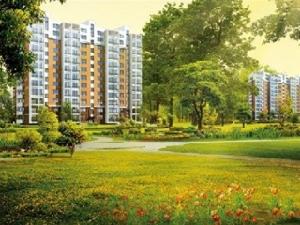 金色龍泉 金色龍泉