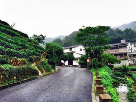 龍井村[貴州銅仁市印江縣新寨鎮龍井村]