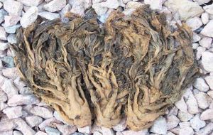 紹興梅乾菜 紹興梅乾菜