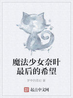 魔法少女奈葉最後的希望