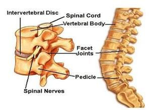 頸椎變形 頸椎變形