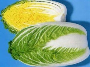 膠州白菜 膠州白菜