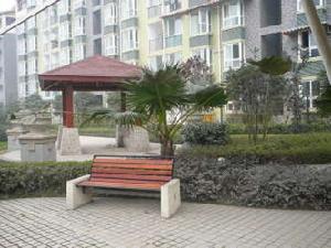 西華陽光 西華陽光