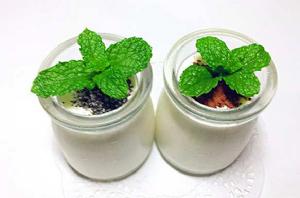 盆栽優酪乳 盆栽優酪乳