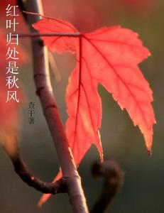 紅葉歸處是秋風 紅葉歸處是秋風