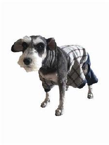 標準雪納瑞 標準雪納瑞