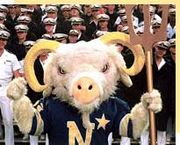 （圖）山羊比爾