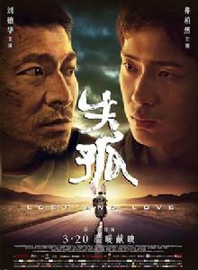 失孤[中國大陸2015年劉德華主演電影]