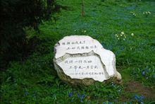 英國劍橋大學為徐志摩立純中文詩碑