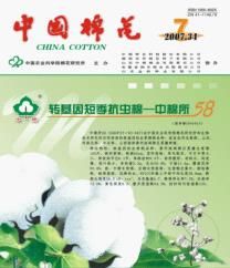 中國棉花 中國棉花