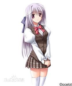 プリネシカ 　CV