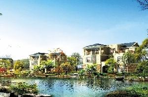 銀杏人家 銀杏人家