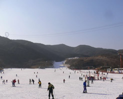 龍鳳山滑雪場