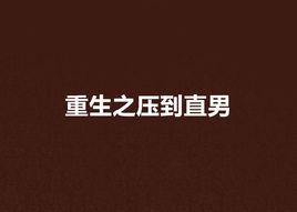 重生之壓到直男 重生之壓到直男