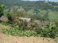 芒壯山自然村 芒壯山自然村