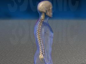 反射性軀體神經病