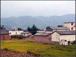 高營村[雲南大理州彌渡縣寅街鎮下轄村]