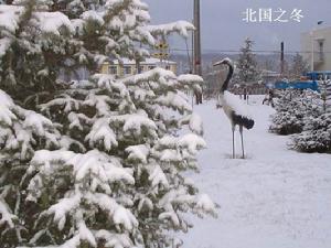 雁鳴湖國家級自然保護區