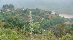 丙必利村 丙必利村