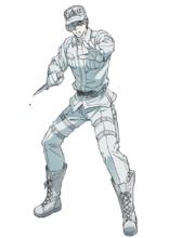 白細胞（中性粒細胞）