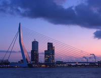 伊拉斯謨斯大橋