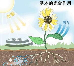 （圖）地球概說