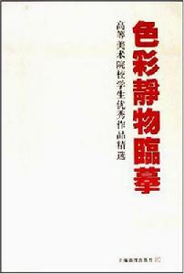 色彩靜物臨摹 色彩靜物臨摹