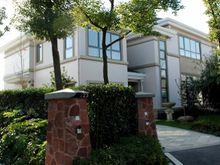 澄湖水岸實景圖