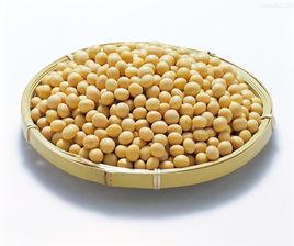 有機大豆 有機大豆