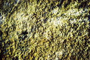 土壤背景值圖 土壤背景值圖