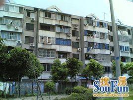 東體小區 東體小區