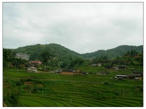 螺螄田自然村 螺螄田自然村