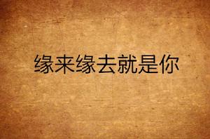 緣來緣去就是你 緣來緣去就是你