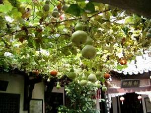 《日本留學一千天》