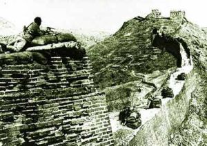 一寸山河一寸血[2007年陳君天執導紀錄片]