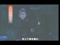 雌雄雙俠 雌雄雙俠