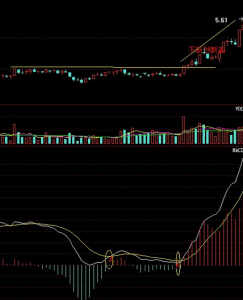 捕撈季節的特點和MACD的實戰技巧