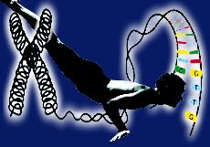 人類基因組計畫