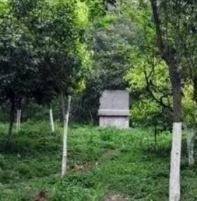 象山王氏墓地 象山王氏墓地